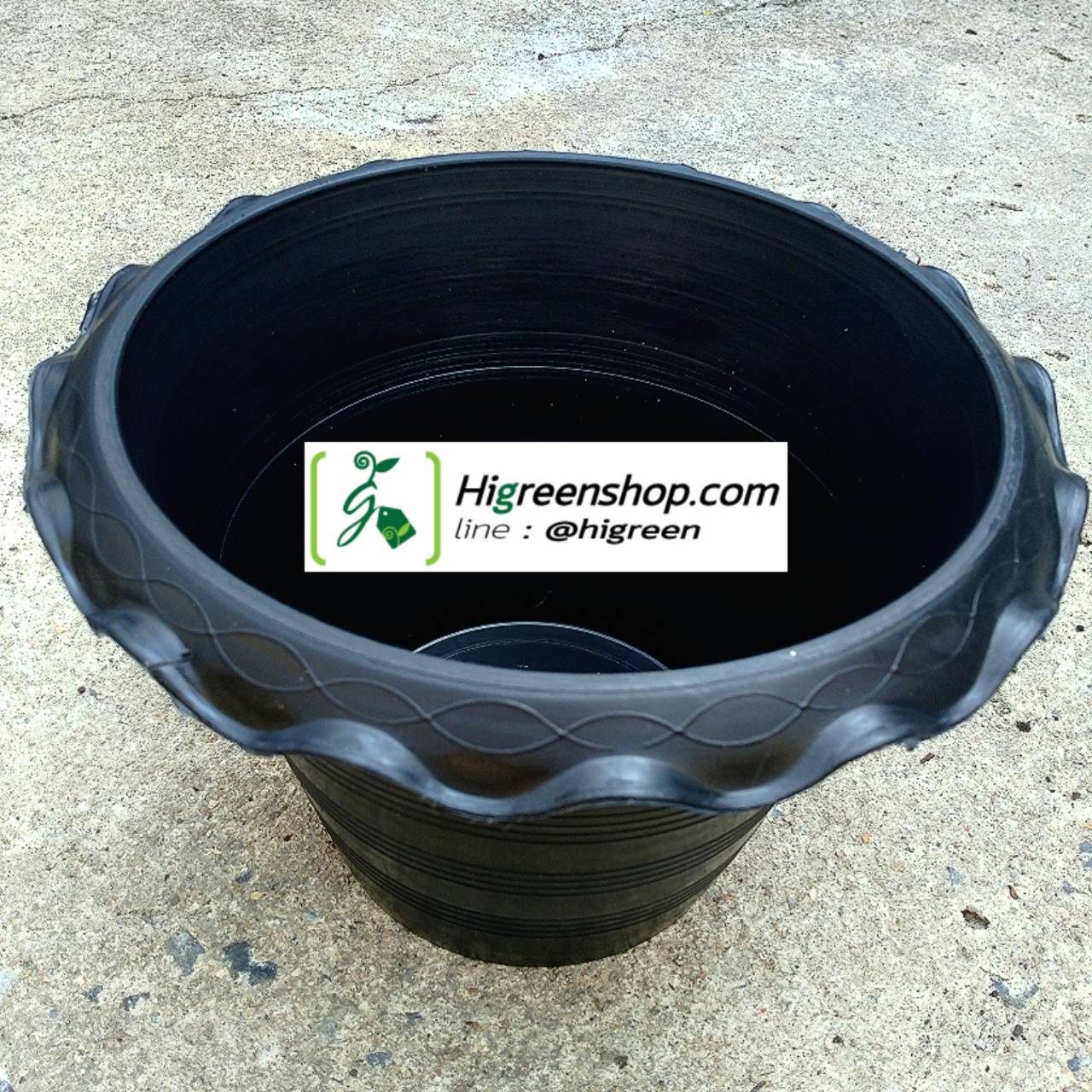 กระถางบัว ขนาด 12 นิ้ว