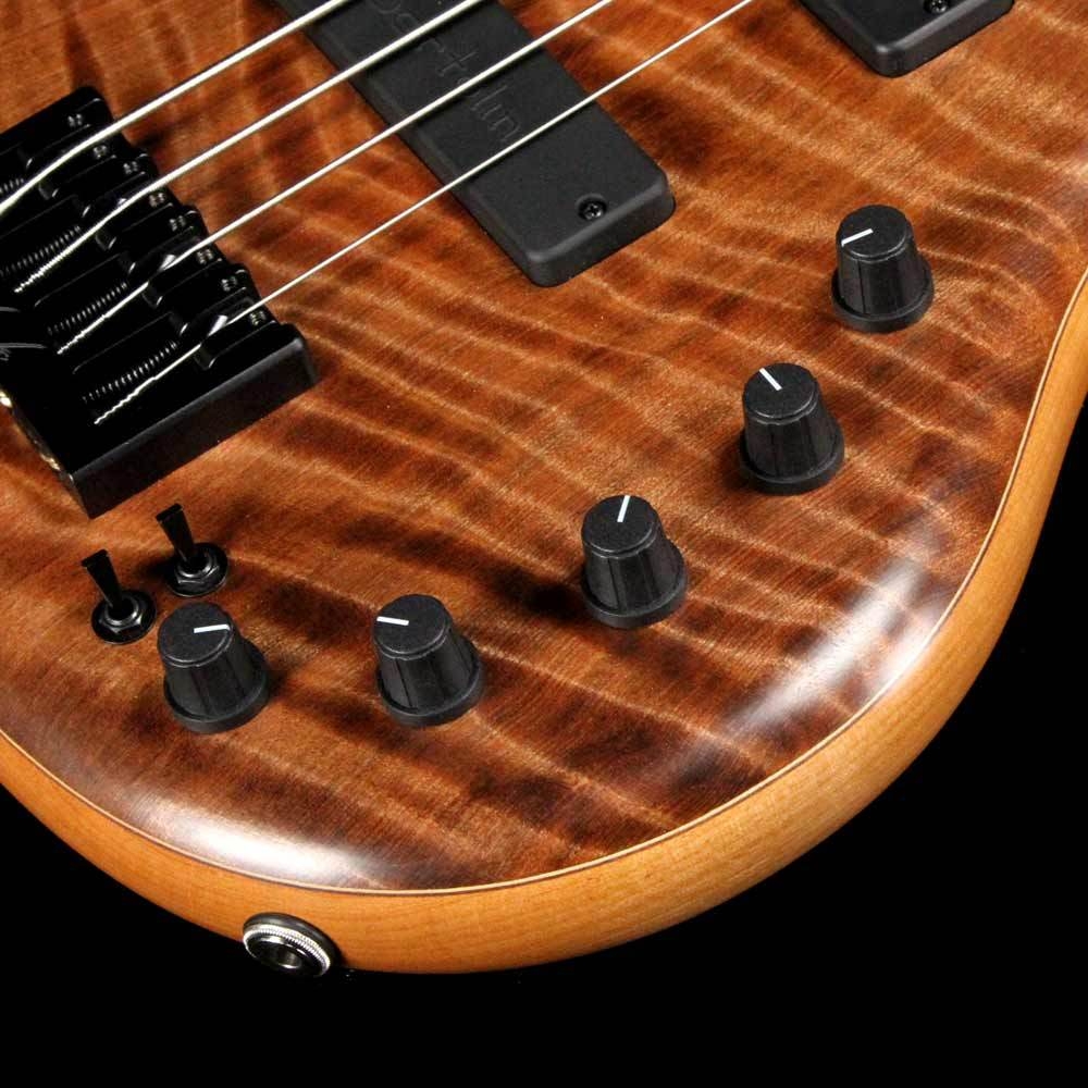 Elrick eVolution Gold Series 4-String Bass Flame Redwood Top - Natural