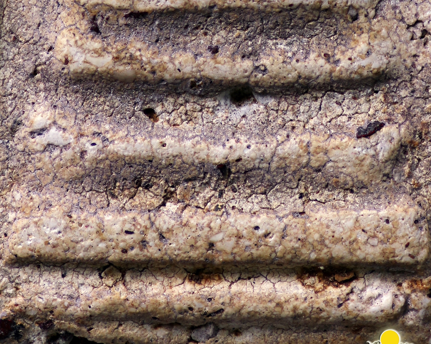 พระสมเด็จวัดระฆังโฆสิตาราม พิมพ์ใหญ่ ลงรัก