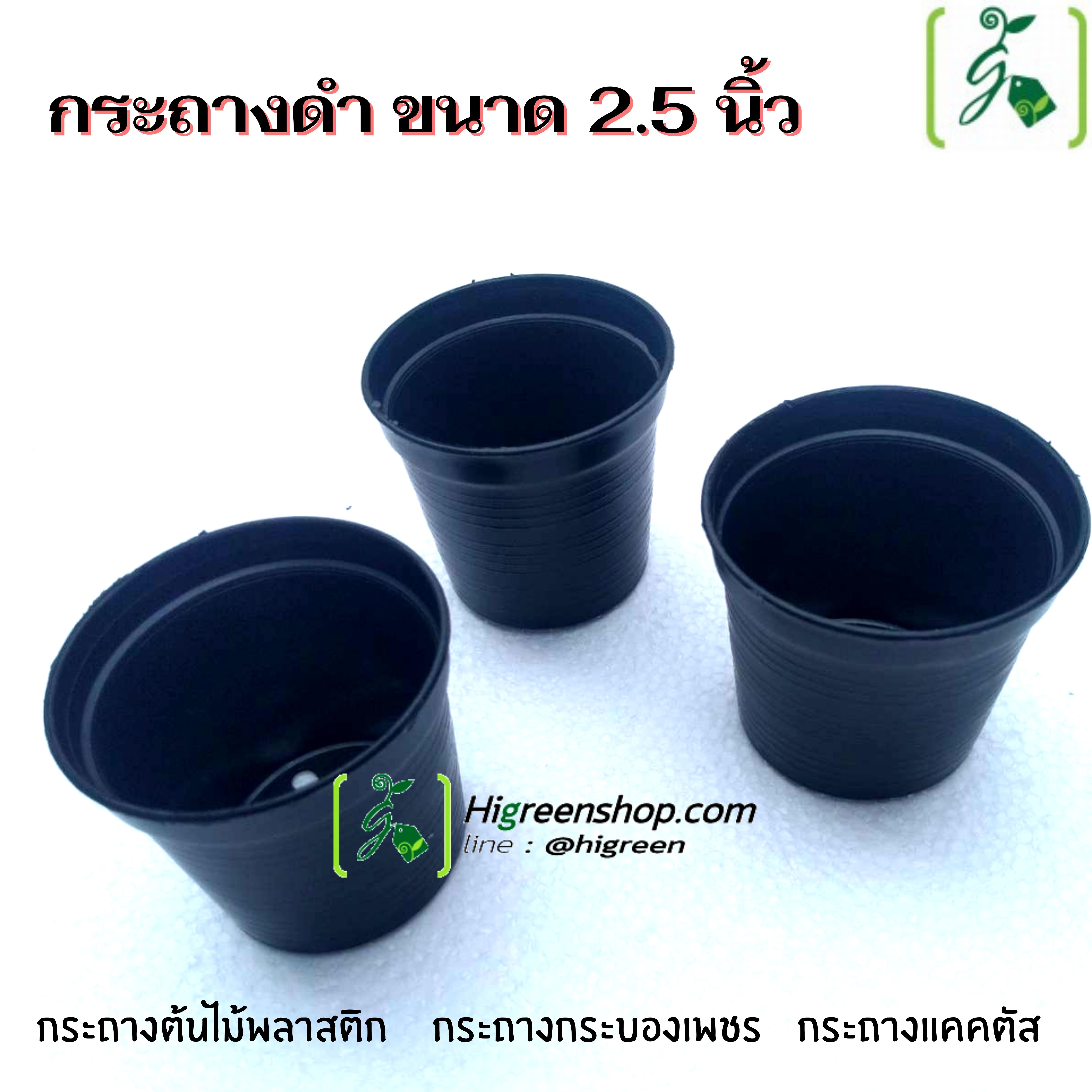 กระถางดำ ขนาด 2.5 นิ้ว / จำนวน 100 ใบ