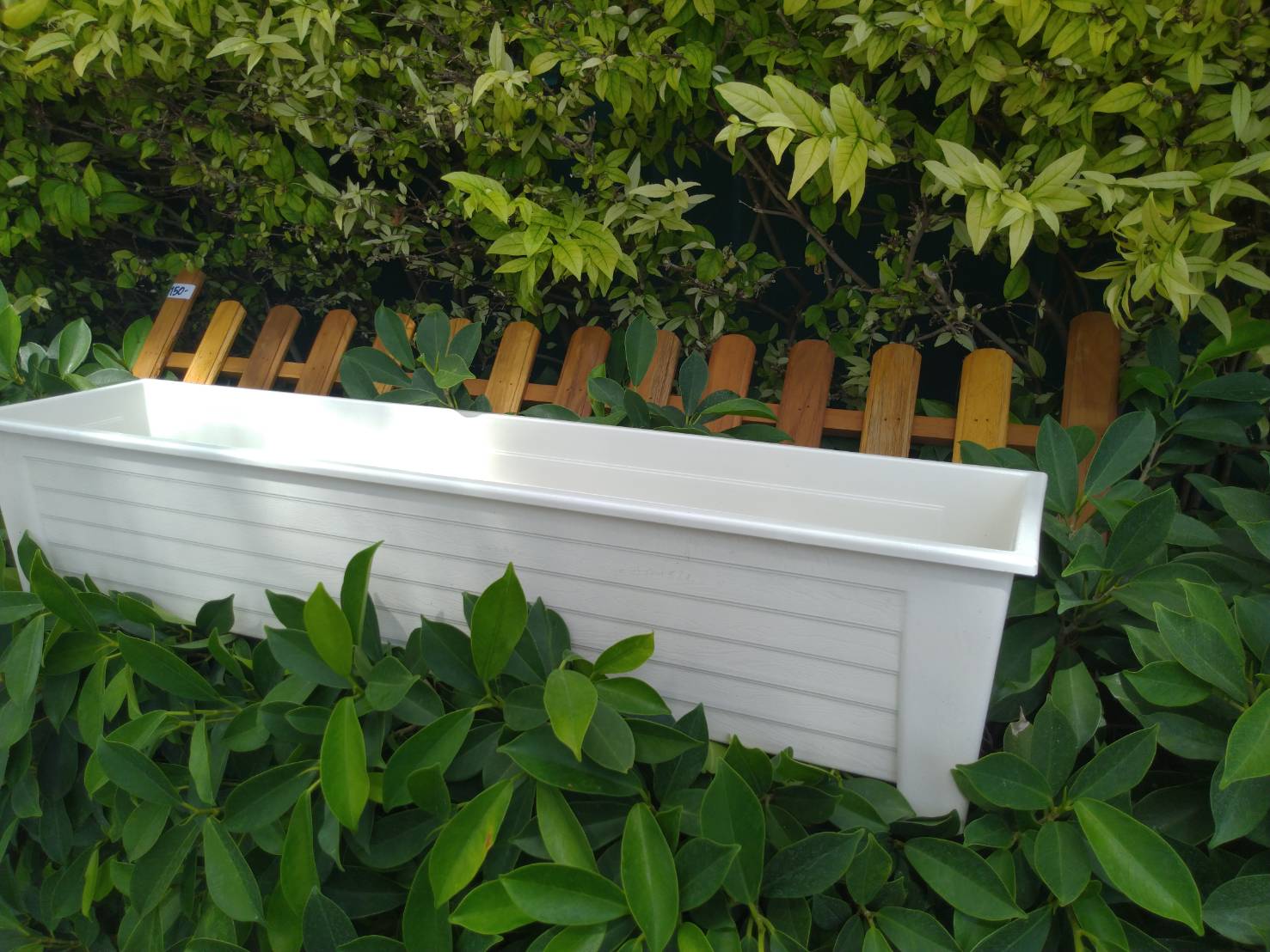 กระถางยาว กระถางปลูกต้นไม้ แบบยาว 1 ใบ (เลือกสีได้)