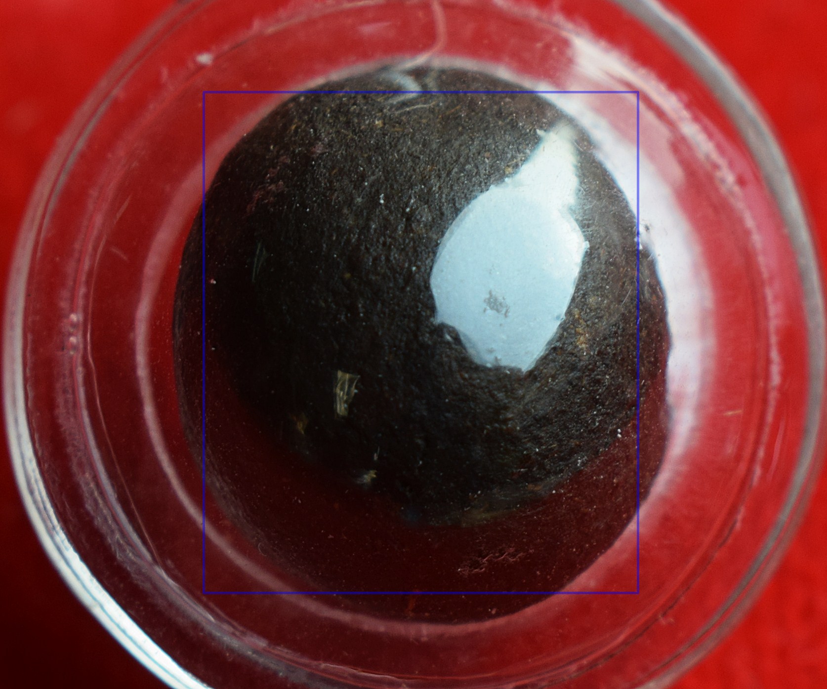 ลูกอมอาถรรพ์ หลวงพ่อชื่น วัดตาอี จ.บุรีรัมย์ เนื้อผงอาถรรพ์ ขนาดพกพา สูง 1.5ซม. รวมเลี่ยมกรอบสูง 3.5ซม. กว้าง 2.5ซม. ออกบูชาปี2544