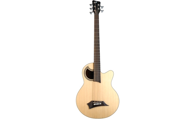 Warwick Alien Standard 5-String Acoustic-Electric Bass - Natural Hi Polish