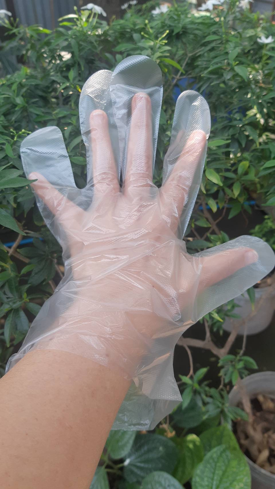 ถุงมือพลาสติก HDPE GLOVE 100 ชิ้น/แพ็ค