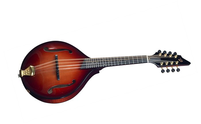 Breedlove Premier Series Olympic Mandolin