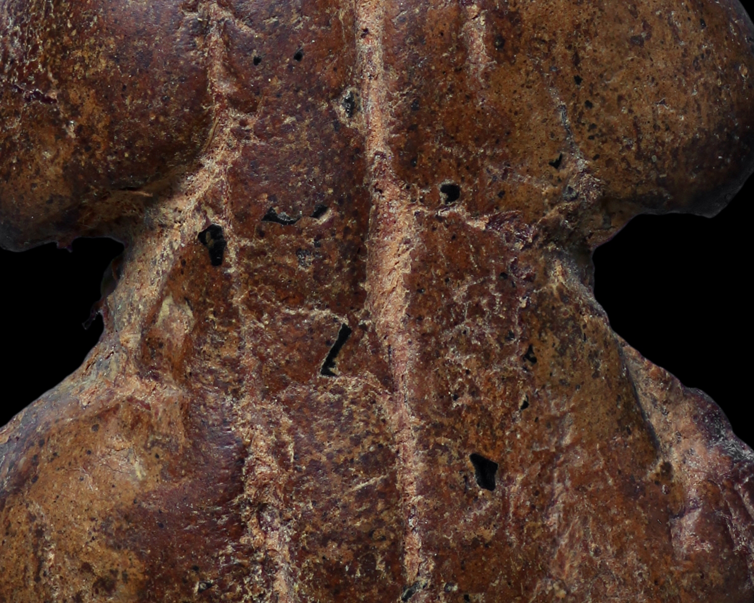 พระปิดตาหลวงพ่อแก้ว พิมพ์ปั้น