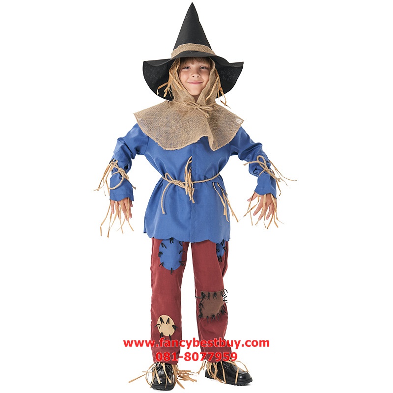ชุดแฟนซี Scarecrow ชุดหุ้นไล่กา Dorothy of OZ ขนาด S115-125, M 125-135, XL145-155