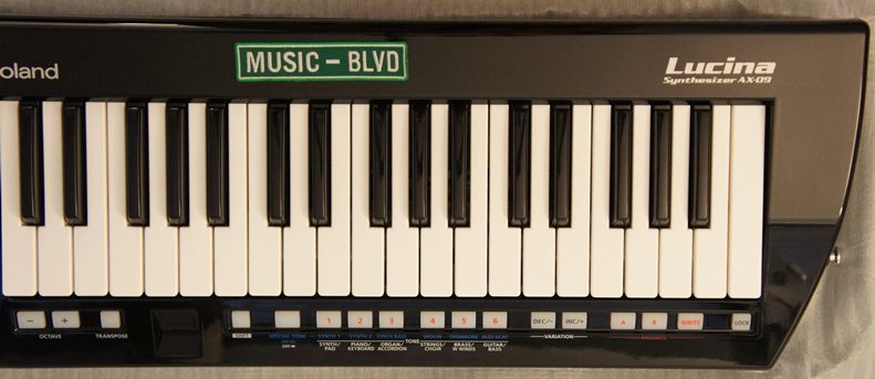 Roland Lucina AX-09 Shoulder Synthesizer (Black Sparkle)