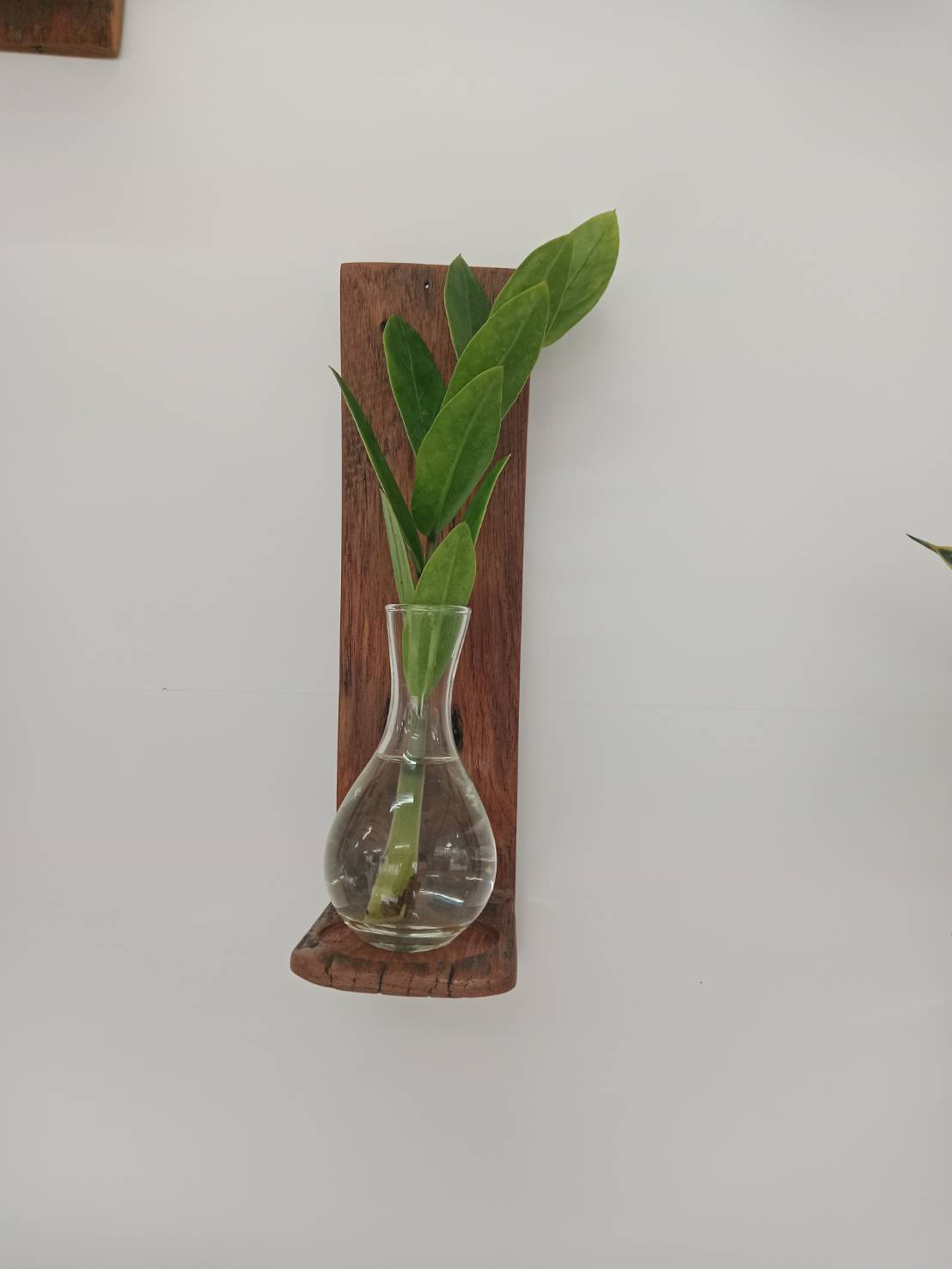 ชุดยึดติดผนัง