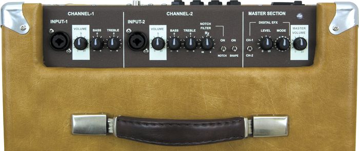 UltraSound CP-100 Acoustic Guitar Combo Amplifier