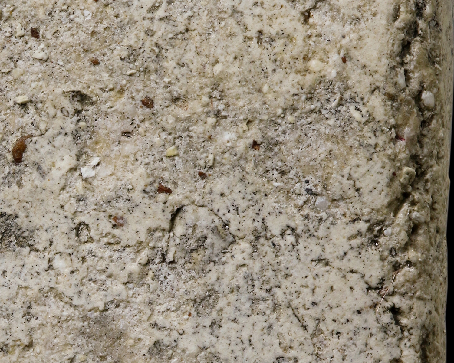 พระสองคลอง พระสมเด็จวัดระฆังโฆสิตาราม พิมพ์ใหญ่ ฝากรุบางขุนพรหม