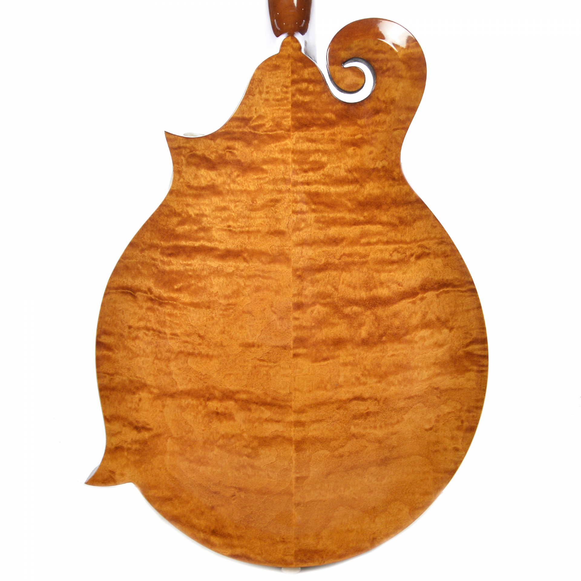 Gibson Custom Shop F-5G Custom Mandolin Honeycomb Burst No.61011011