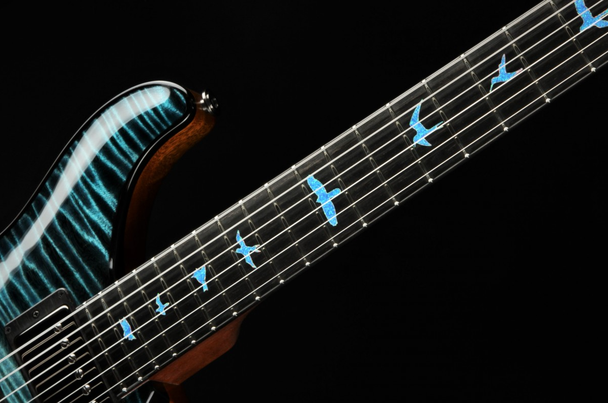 Paul Reed Smith Private Stock #9021 Special Semi-Hollow F-Hole Macassar Ebony - Sub Zero Glow