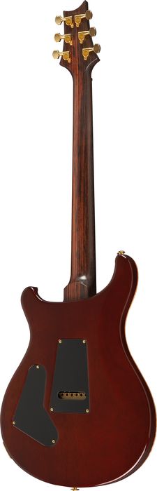 Paul Reed Smith Experience 2010 Custom 24 Wide-Thin Neck with Birds Electric Guitar