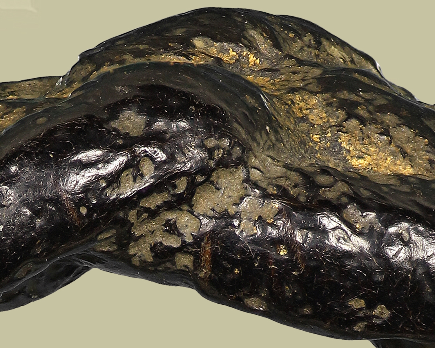 แหวนพิรอดหลวงพ่อม่วง วัดบ้านทวน จ.กาญจนบุรี( โชว์ )