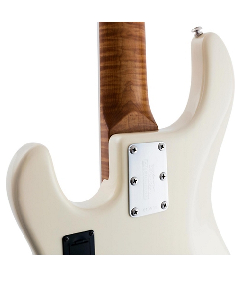 Ernie Ball Music Man 30th Anniversary StingRay5 Five-String Electric Bass Guitar - Transparent Buttercream