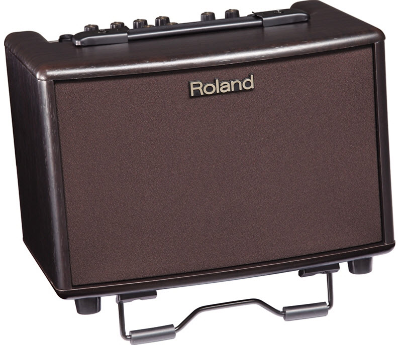 Roland AC-33RW 30W 2x5 Acoustic Amp Rosewood