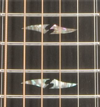 Breedlove Focus SE Special Edition Acoustic-Electric Guitar Natural