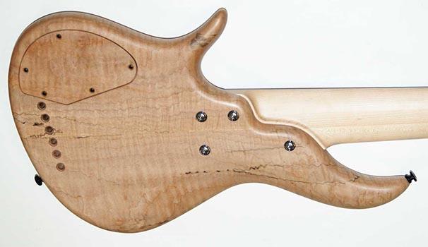 F Bass Alain Caron 6 Fretless Un-Lined / Spruce Top