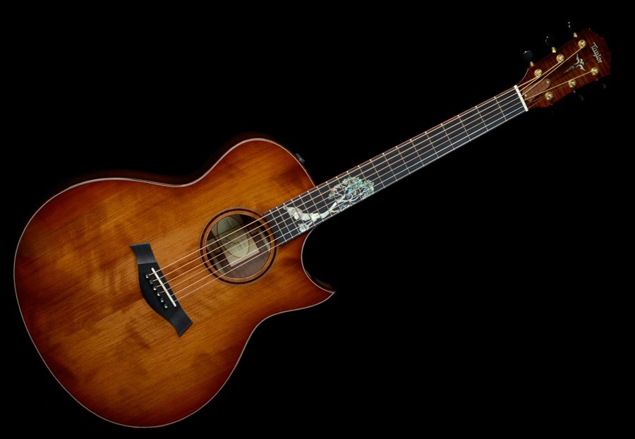 Taylor Custom GS - BTO#4769