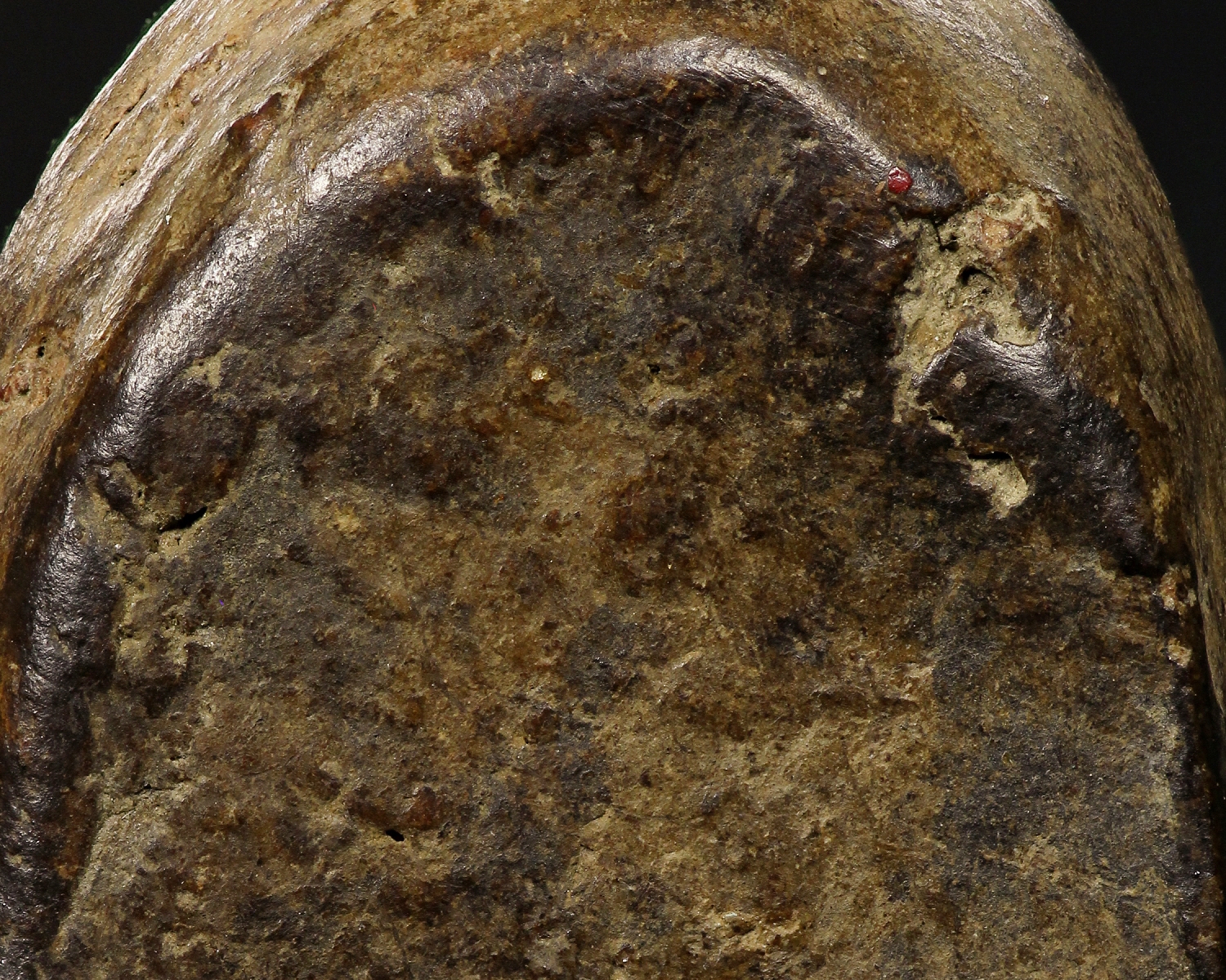 พระซุ้มกอกำแพงเพ็ชร