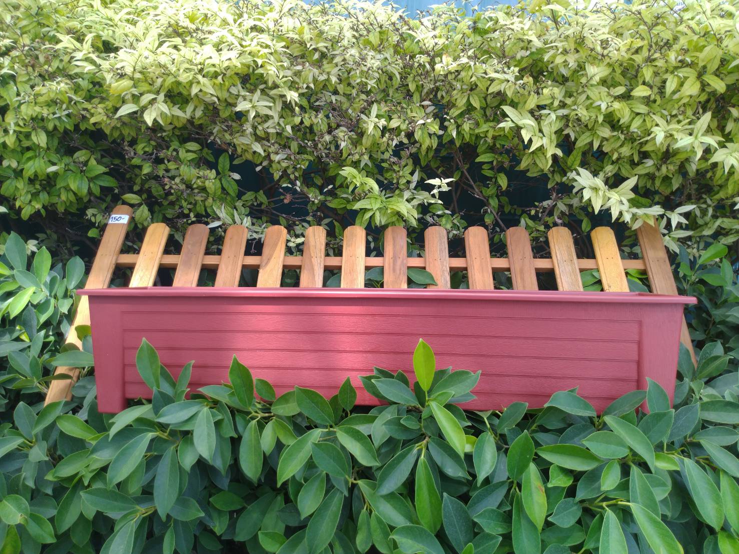 กระถางยาว กระถางปลูกต้นไม้ แบบยาว 1 ใบ (เลือกสีได้)