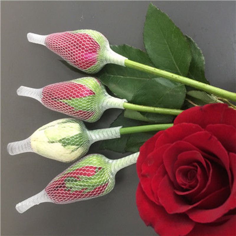 ใหม่!!! ตาข่ายห่อกุหลาบ แบบใส ไม่เปื่อยยุ่ย คนทำสวนกุหลาบนิยมใช้มาก เนื้อบางเบา กันกระแทกขั้นสุด ตาข่ายโฟมห่อดอกกุหลาบ แบบใส ตาข่ายห่อมะยงชิด เพื่อคงรูปทรงให้สวย ไม่เสียหายระหว่างขนส่ง จำนวน 1 กก.