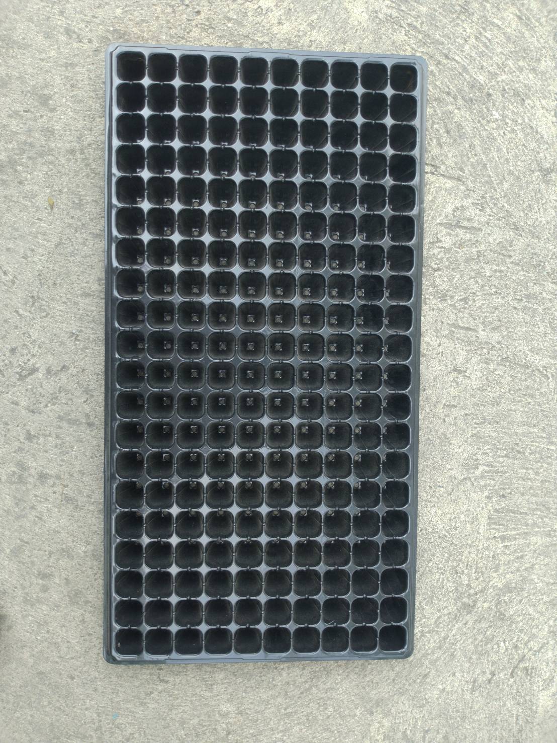 ถาดหลุมเพาะกล้าสีดำ 200 หลุม