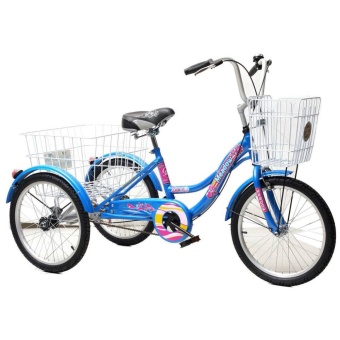 [SALE 25%] รถจักรยานสามล้อ MEADOW (ใส่ที่นั่งหลังได้) ตะกร้าท้ายใบใหญ่