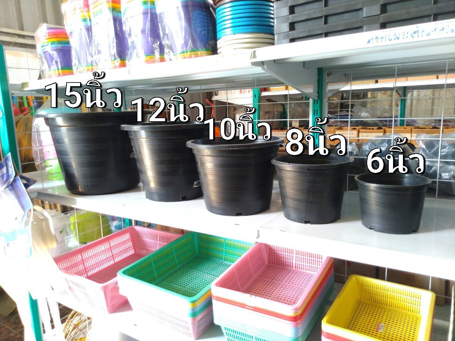 กระถางดำ ขนาด 6 นิ้ว