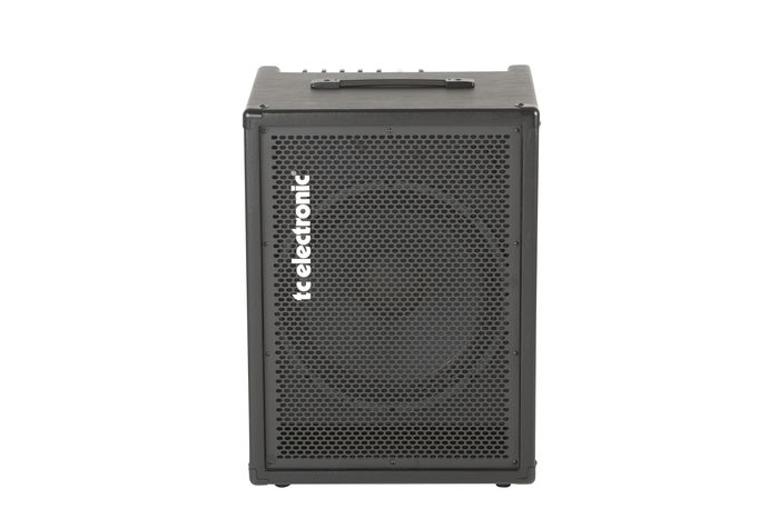 TC Electronic BG250 250W 1x15 Bass Combo Amp