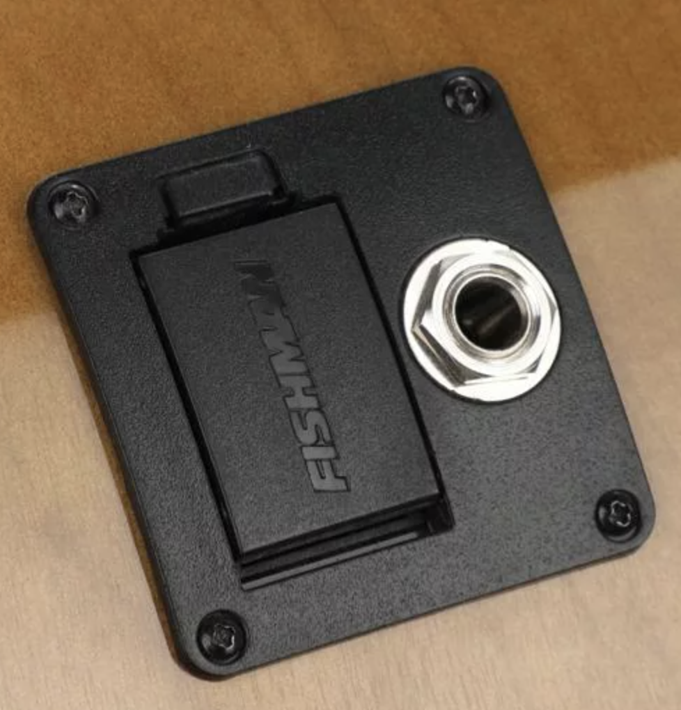 Breedlove ECO Pursuit Exotic S Concerto CE Acoustic-Electric Bass Guitar - Amber Myrtlewood