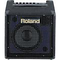 Roland KCW-1 200W Keyboard Subwoofer
