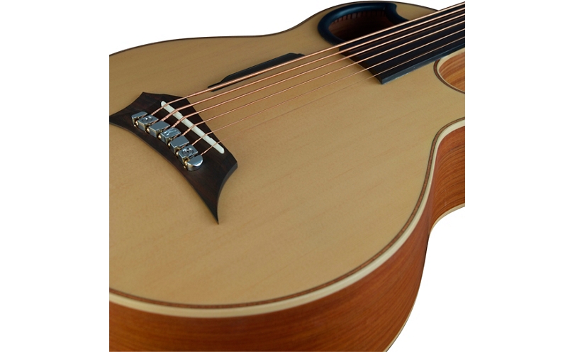 Warwick Alien 6-String Fretless Acoustic-Electric Bass - Natural Hi Polish