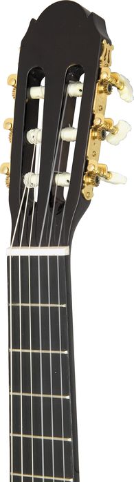 Lyons Classroom Guitar