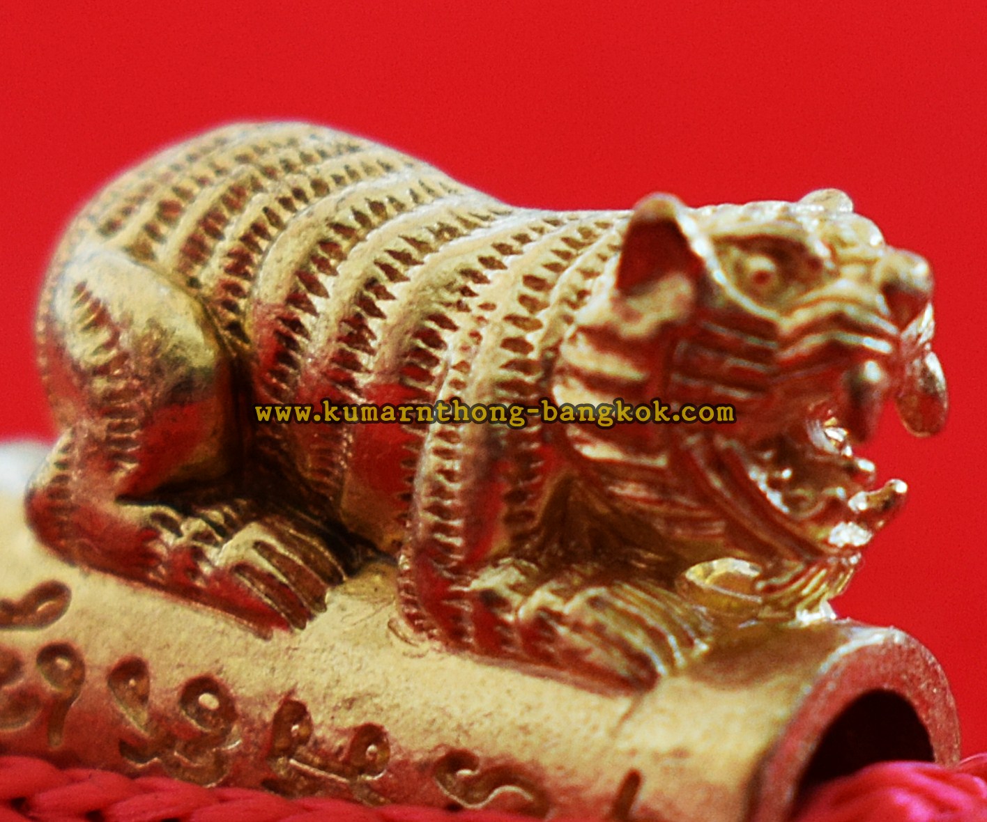 ตะกรุด ข้อมือเสือ วัดบางพระ (หลวงพ่อเปิ่น) จ.นครปฐม แบบเล็กเดี่ยว เชือกแดง ขนาดยาว 15ซม. ออกบูชาปี 2553 (ของแท้จากวัด)