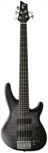FGN Guitars Expert series EDR-5R/FM - Transparent Black Sunburst