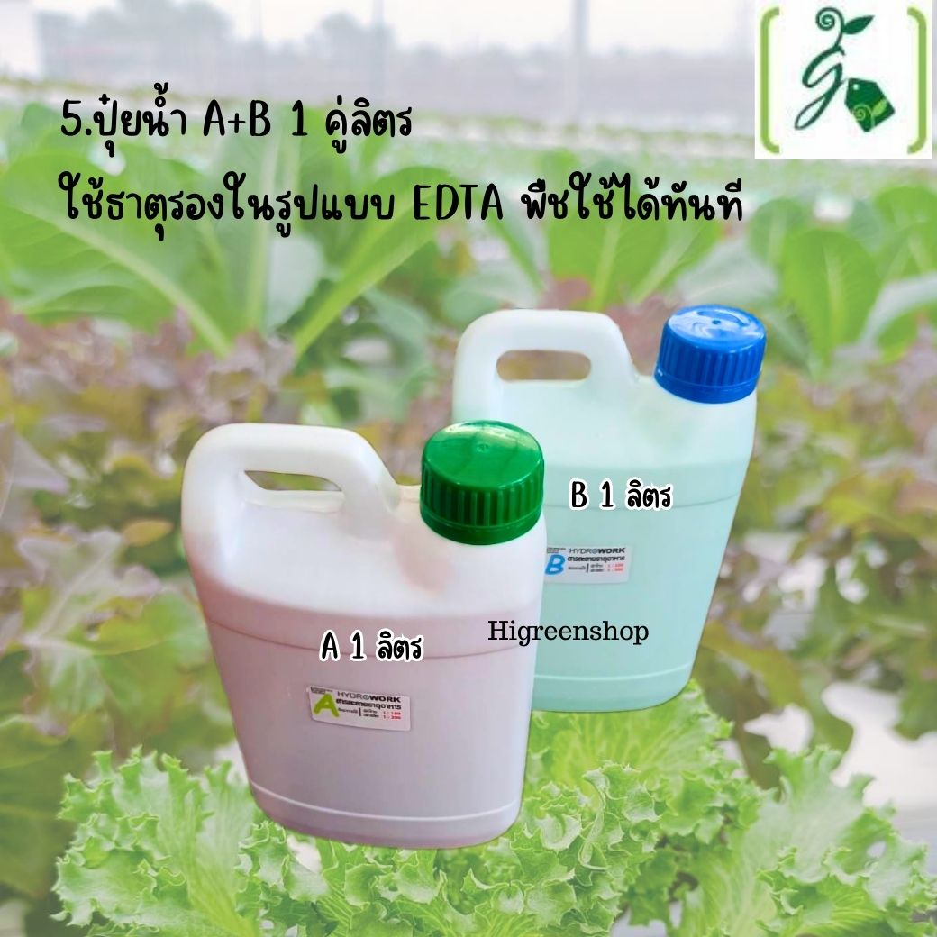 ชุด kid กล่องโฟมน้ำนิ่ง กล่องกุ้ง