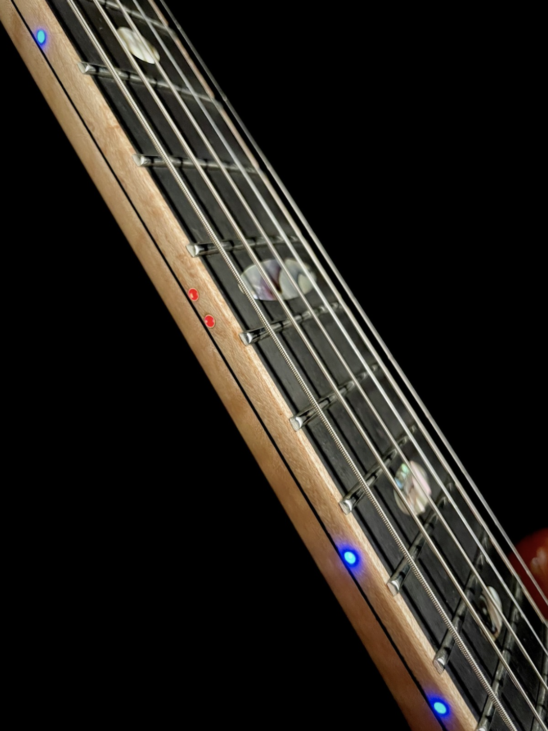 Alembic Spectrum - Cocobolo