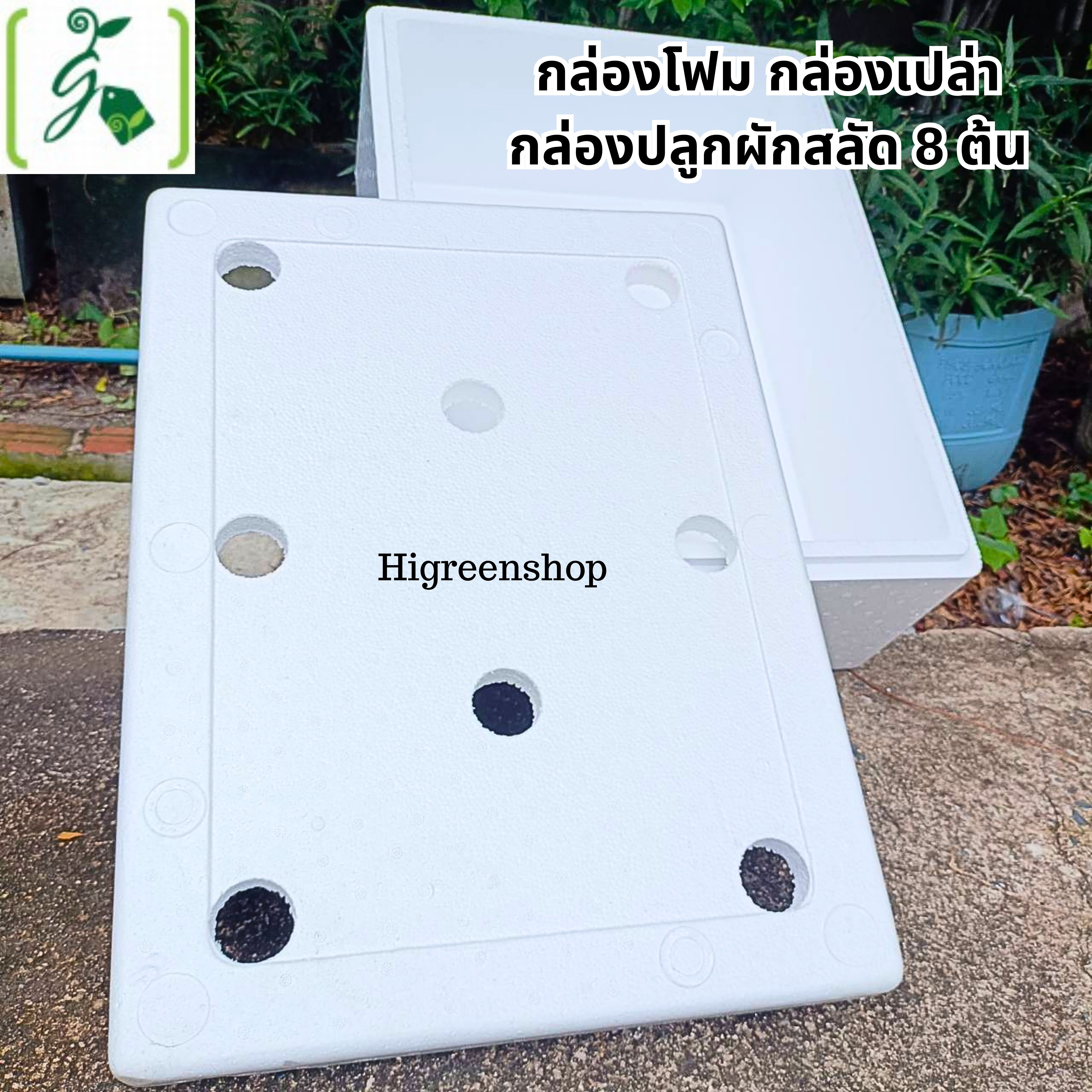 กล่องโฟมมือ 1 กล่องเปล่า กล่องปลูกผักสลัด เจาะรูฟรี + แถมถุงรองลัง เจาะรูสลัด 8 ต้น หรือผักไทย 28 ต้น เลือกได้