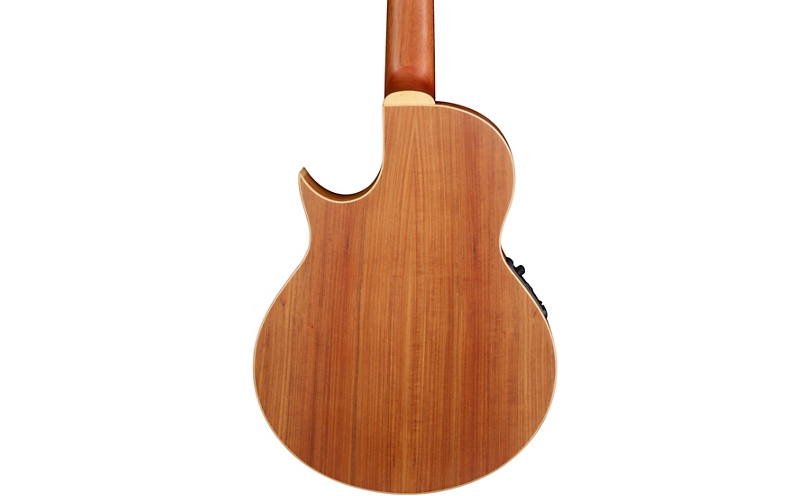 Warwick Alien 6-String Fretless Acoustic-Electric Bass - Natural Hi Polish