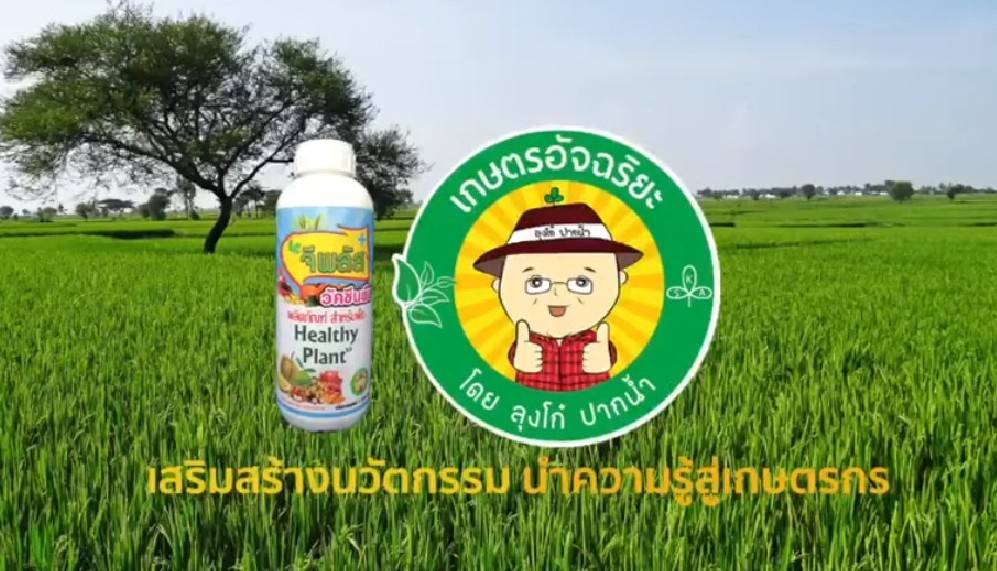 วัคซีนพืช-จีพลัส กระตุ้นภูมิสู้โรคลดตุ้นทุนเพิ่มผลผลิต ขนาด 100 ml.