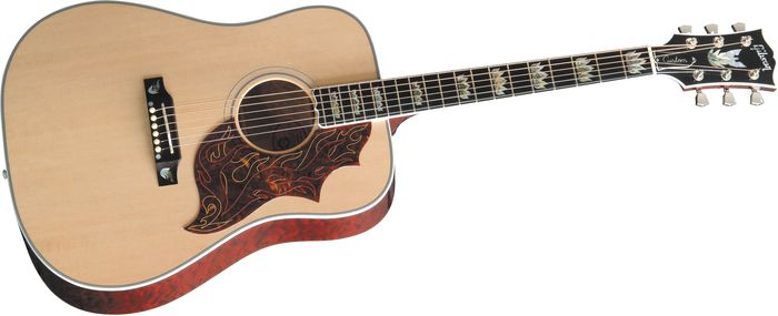 Gibson Custom Firebird Custom Acoustic Guitar
