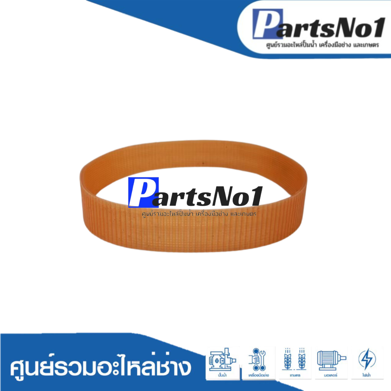 สายพานสีส้ม 255