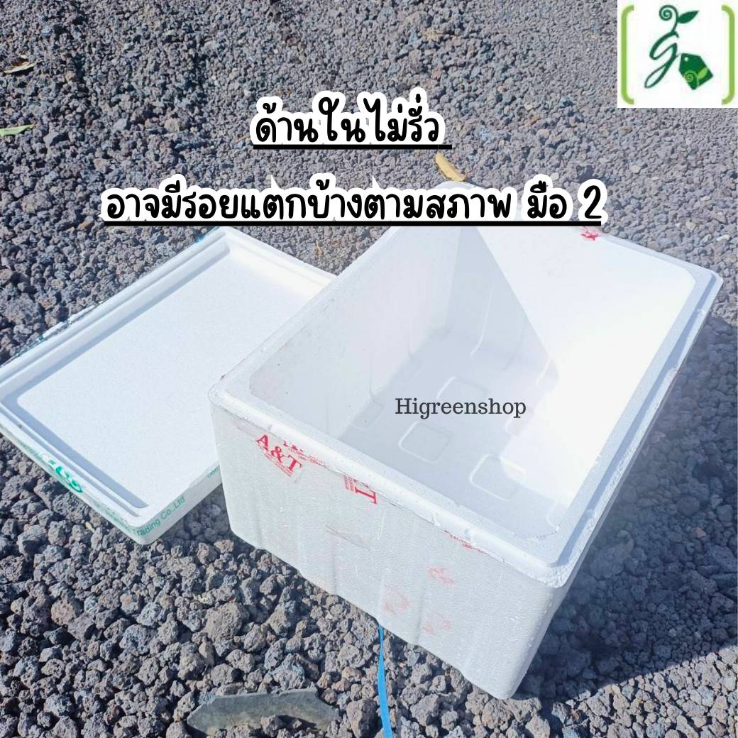 กล่องโฟมมือ 2 กล่องเปล่า กล่องปลา (สูง 35 cm.) กล่องปลูกผักไฮโดรโปนิกส์ เจาะรูฟรี + แถมถุงรองลัง เจาะรูสลัด 8 ต้น หรือผักไทย 20 ต้น เลือกได้ เซต 10 ลัง