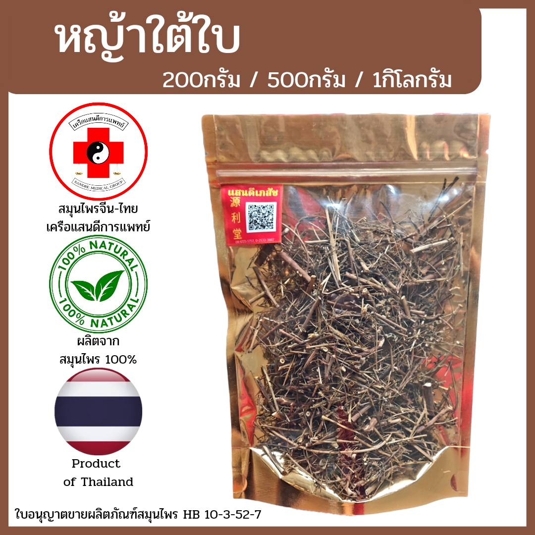 [แสนดีเภสัช] สมุนไพร หญ้าใต้ใบ อย่างดี