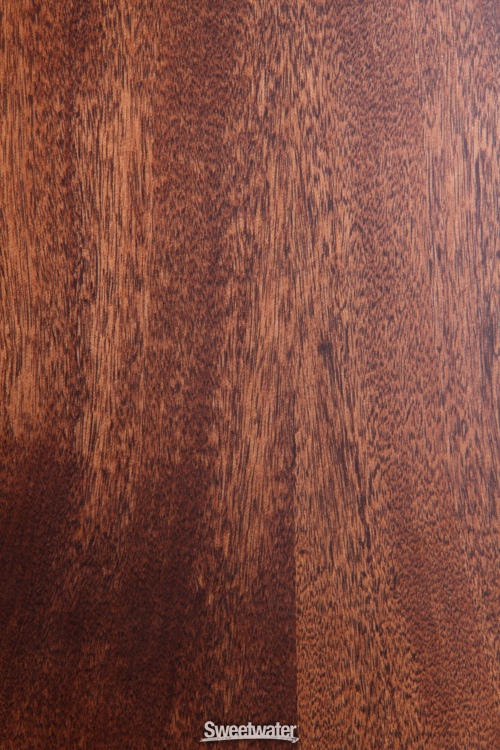 Ibanez AC450CE Natural