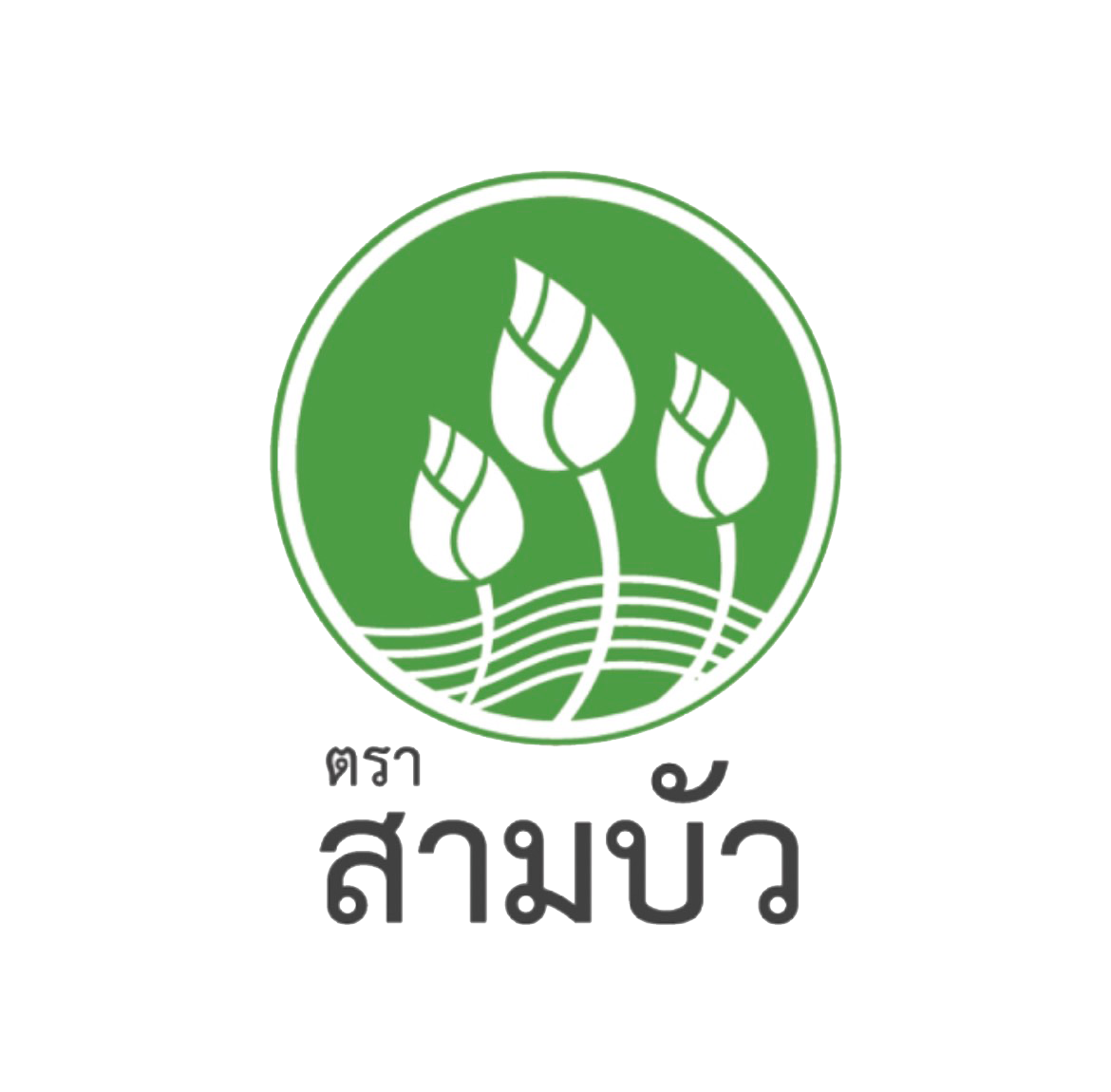 [ขายยกลัง 24 ซอง] SamBua สามบัว คุ้มค่า ฟองเต้าหู้แท่ง 30 กรัม Dried Bean Curd (Sticks)