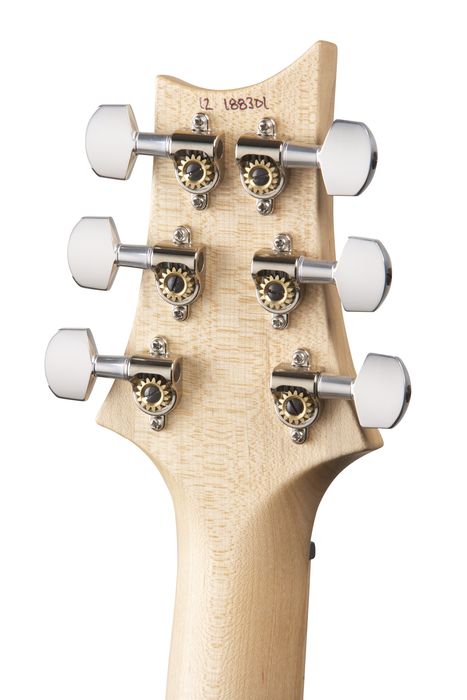 PRS Swamp Ash Special With Narrowfields Electric Guitar