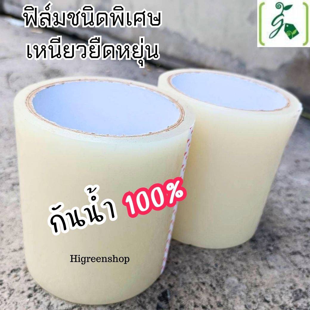 ผ้าเทปซ่อมพลาสติกใส โปร่งใสขาว กว้าง 10 เซนติเมตร x ยาว 10 เมตร / ม้วน